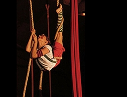 Static Trapeze